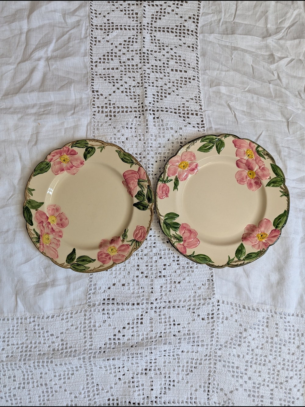 Fransican Earthenware Dinner Plates - Set of 2